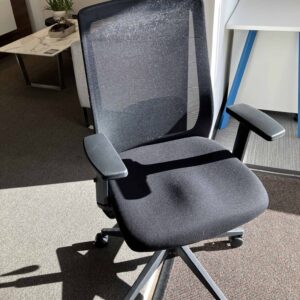 Caressa Task Chair | ODS